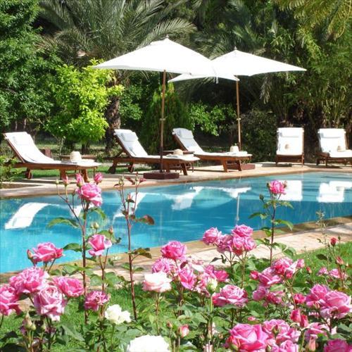 Hotel Dar Zemora Marrakesch Einrichtungen foto